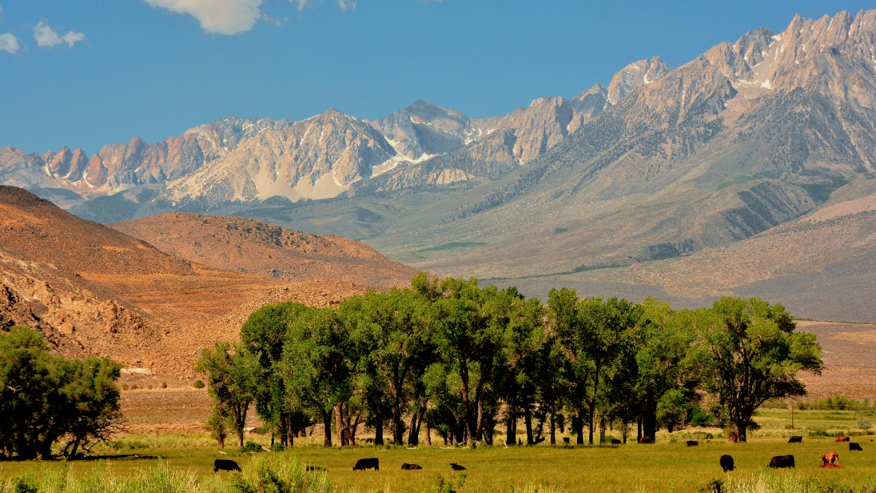 Image Credit: Mike McBey - CC BY 2.0/Wiki Commons