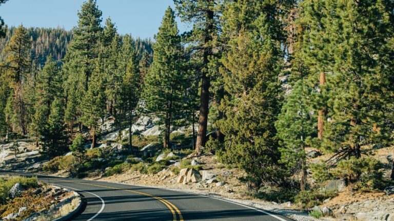 Highway in Northern California