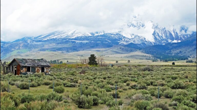 Image Credit: inkknife_2000 (7.5 million views +) - CC BY-SA 2.0/Wiki Commons