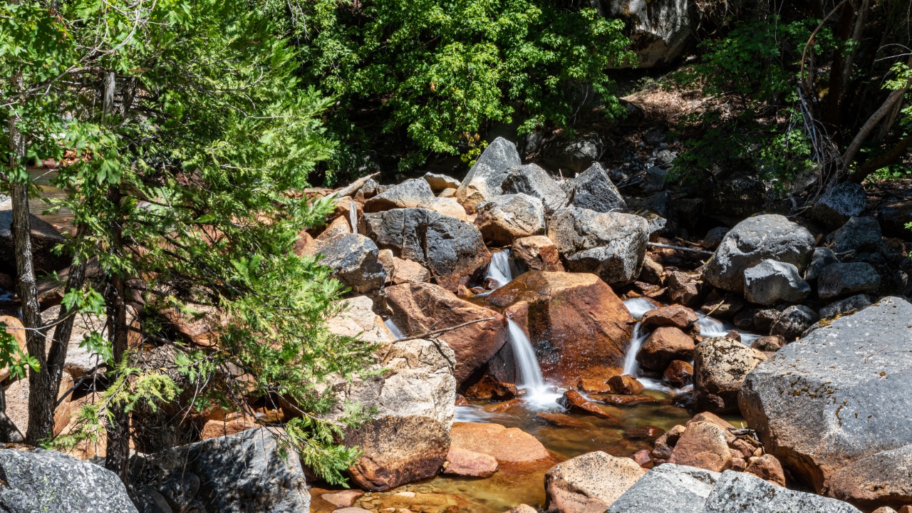 Yosemite National Park (CA, USA), Yosemite Valley, Tenaya Creek