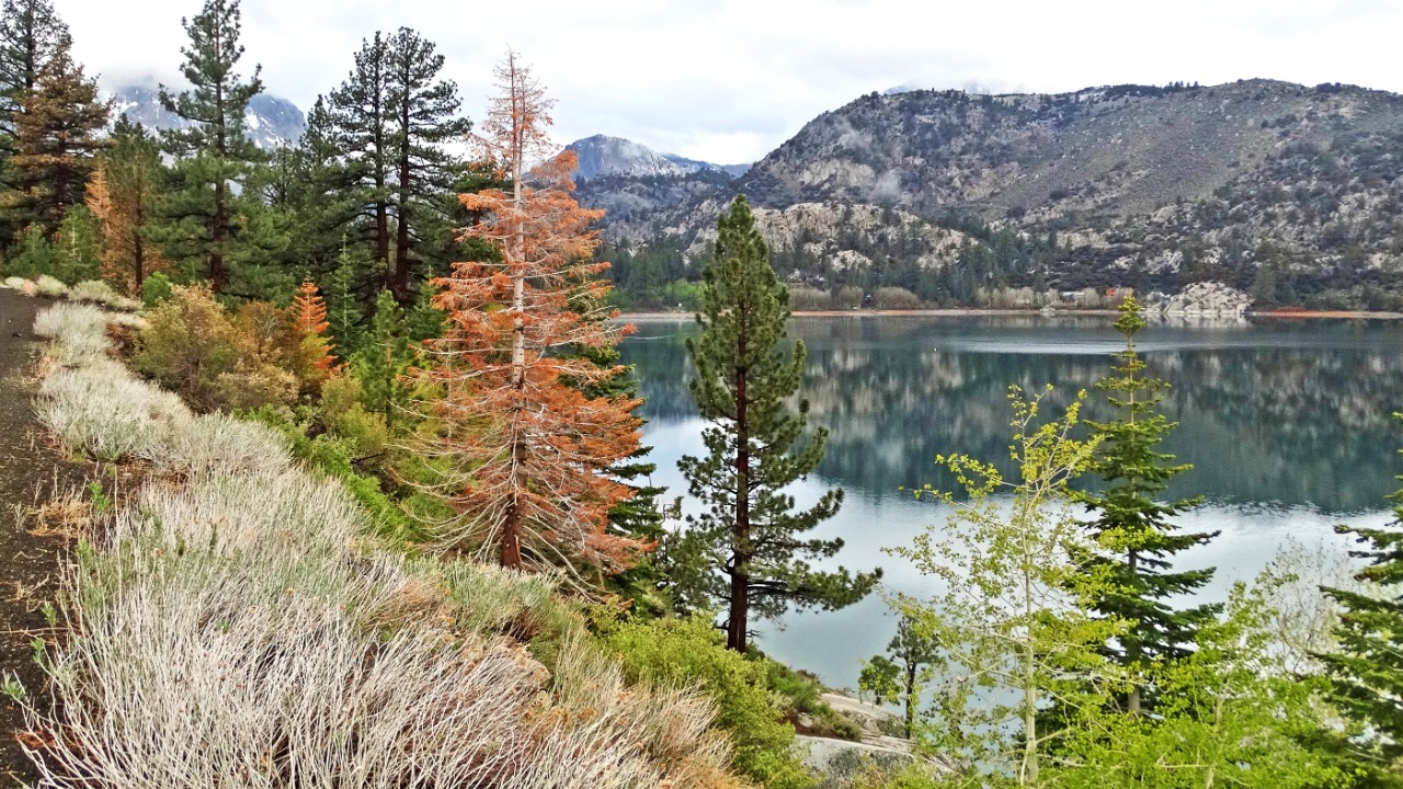 Image Credit: inkknife_2000 (7.5 million views +) - CC BY-SA 2.0/Wiki Commons