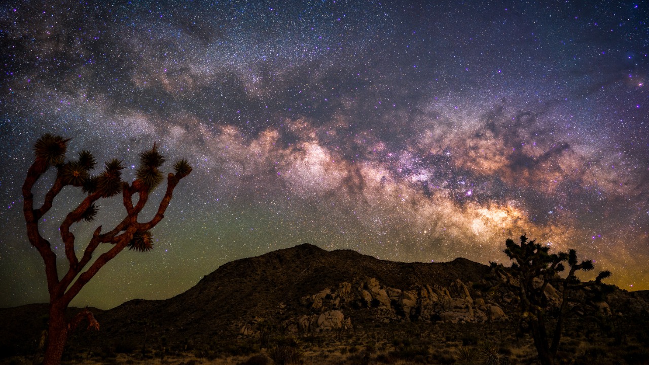 Image Credit: Benjamin Inouye - CC BY 4.0/Wiki Commons