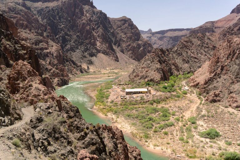 A breathtaking view of the Colorado River winding through the Grand Canyon under a clear sky.