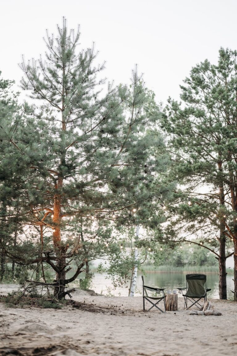 A serene camping site with chairs by a lake surrounded by tall pine trees, ideal for nature retreats.