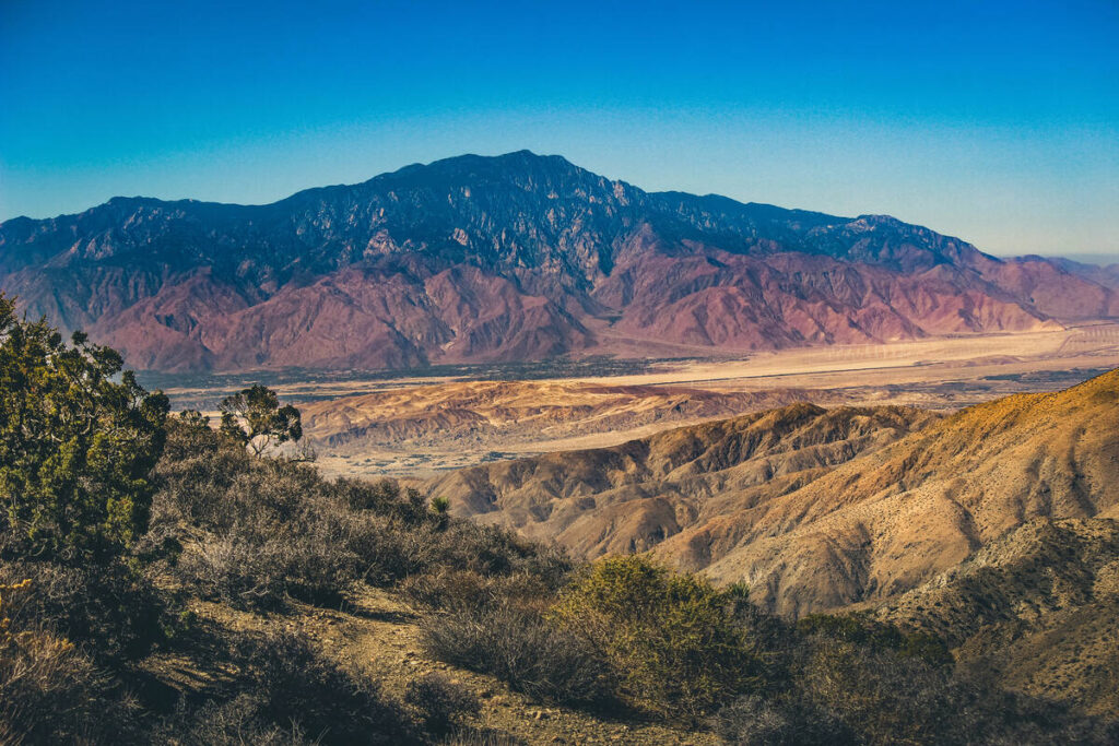 joshua tree keys view